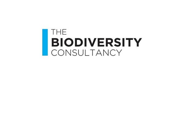 biodiv consult logo